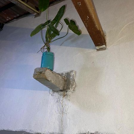 Cactus Arugambay Hostel Аругам Бей Екстериор снимка