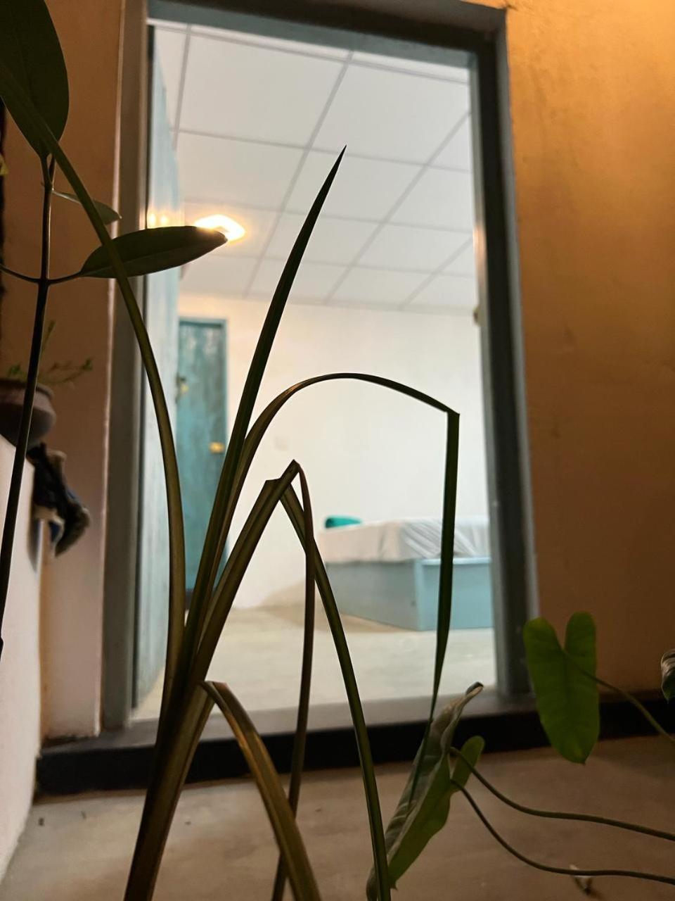 Cactus Arugambay Hostel Аругам Бей Екстериор снимка