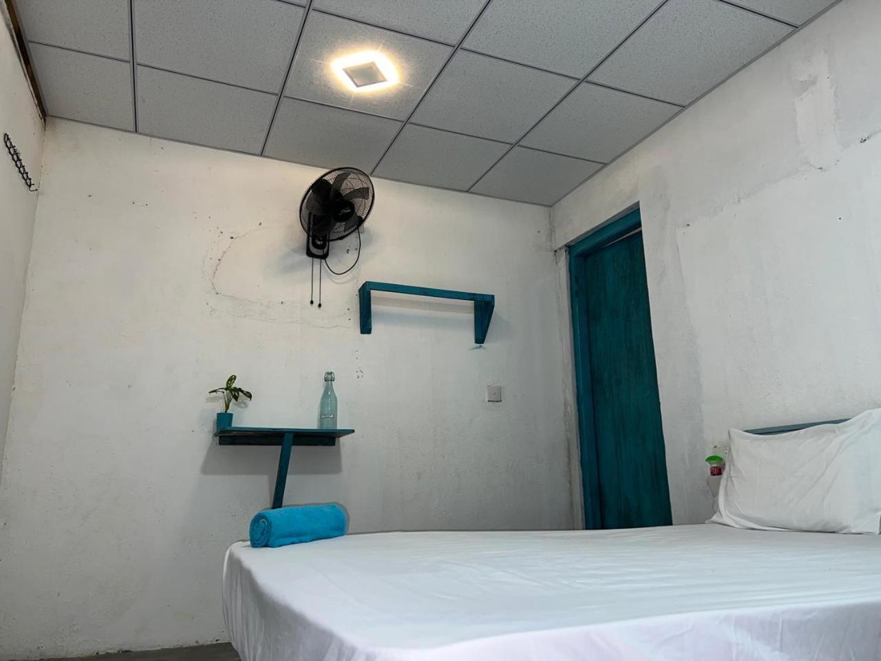 Cactus Arugambay Hostel Аругам Бей Екстериор снимка