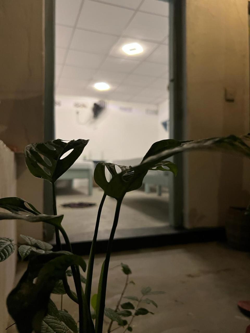 Cactus Arugambay Hostel Аругам Бей Екстериор снимка