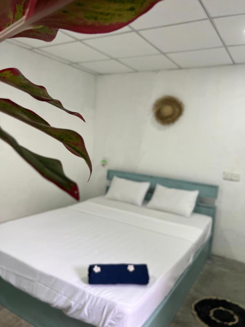 Cactus Arugambay Hostel Аругам Бей Екстериор снимка