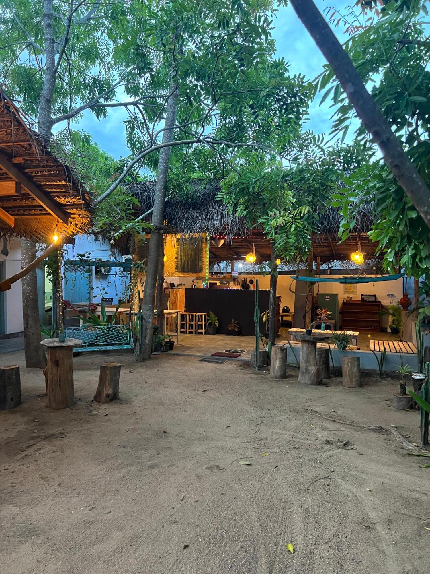Cactus Arugambay Hostel Аругам Бей Екстериор снимка