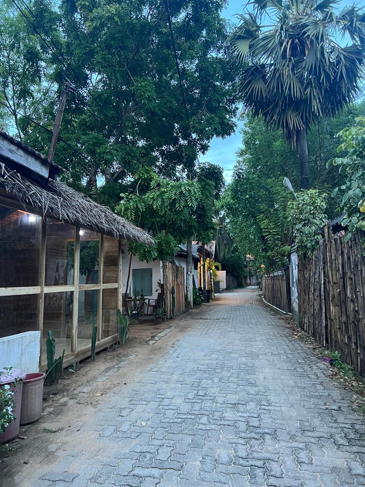 Cactus Arugambay Hostel Аругам Бей Екстериор снимка