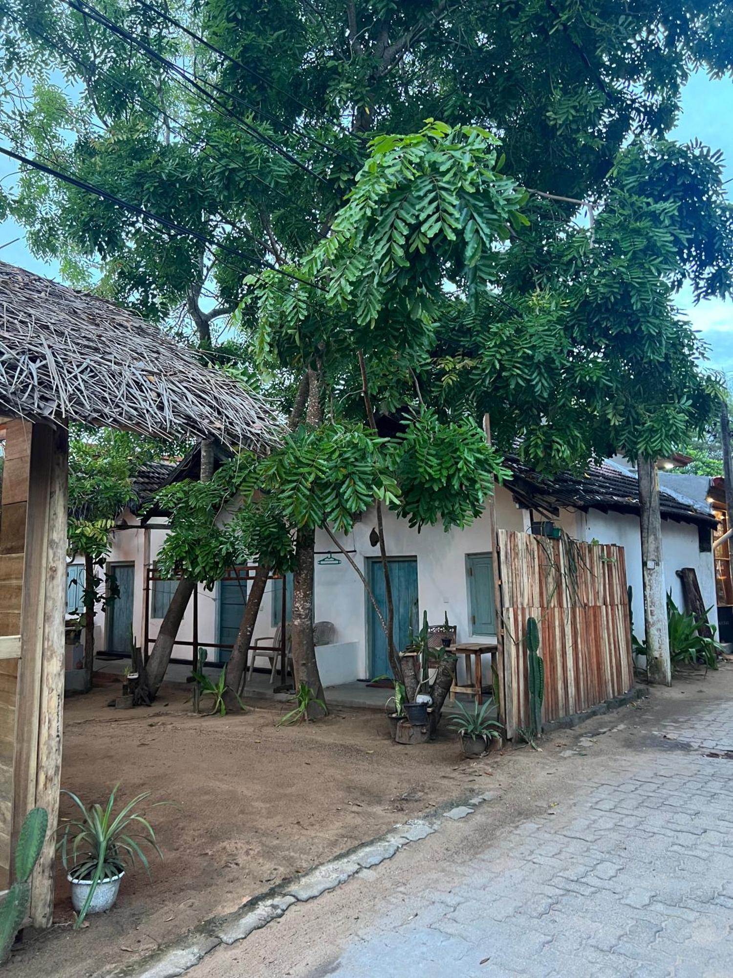 Cactus Arugambay Hostel Аругам Бей Екстериор снимка