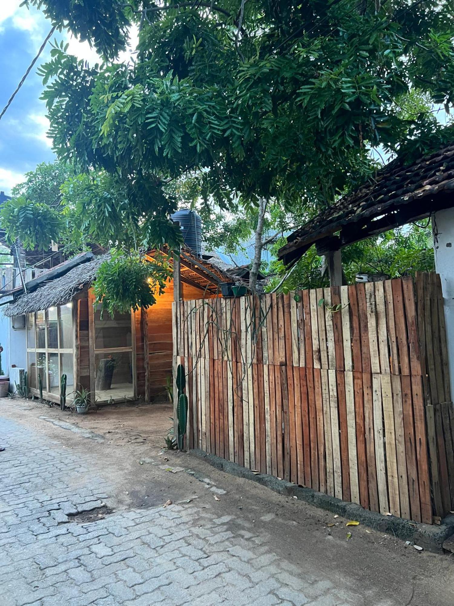 Cactus Arugambay Hostel Аругам Бей Екстериор снимка